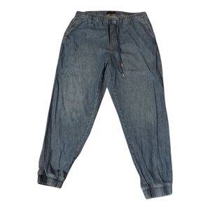 Banana Republic Light Blue Denim Jogger Pants